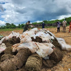 Sécurité : 2 400 kg de chanvre brulent dans les flammes