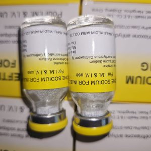 Saisie de 4000 flacons de Ceftriaxone sodium injectable à Guider. La Mission HALCOMI III protège la santé publique